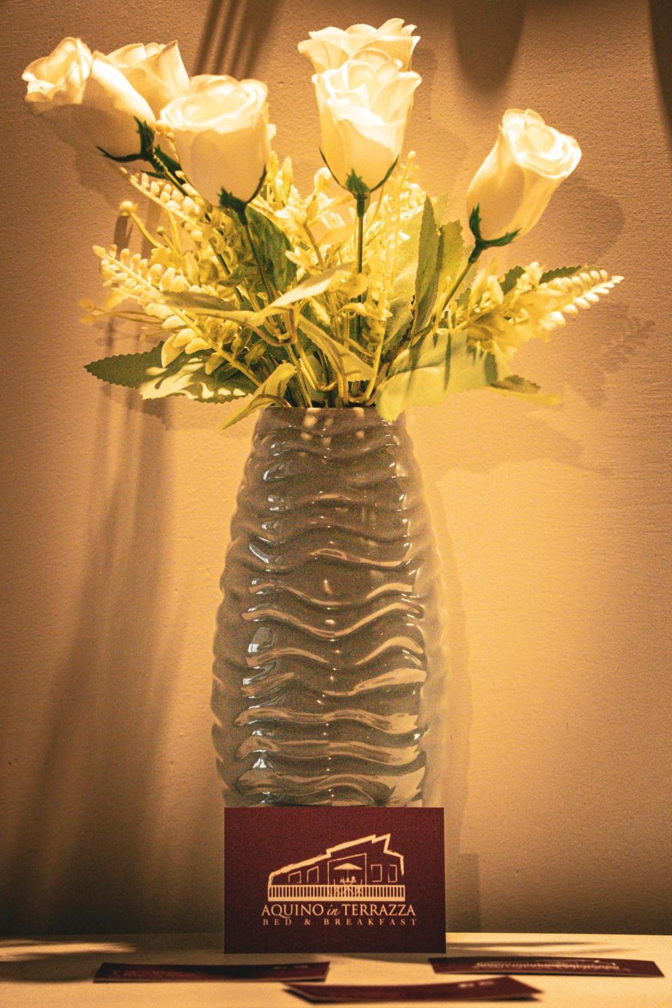 B&B Aquino In Terrazza Ngoại thất bức ảnh